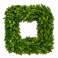 Faux Boxwood Wreath 18"